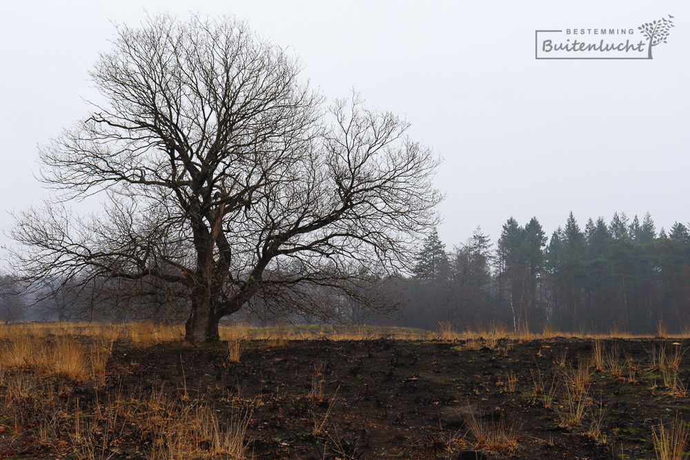 De Meinweg in Midden-Limburg