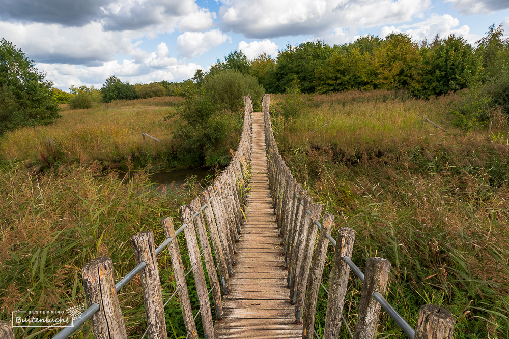 de hangbrug over de Dommel