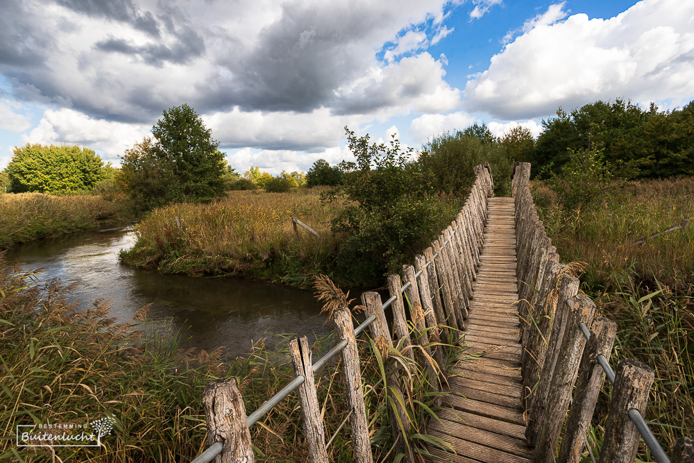 Over de hangbrug wandelen in de Plateaux-Hageven