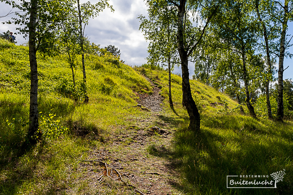 Wandelen naar het topje van de Mont d'Haurs in Givet