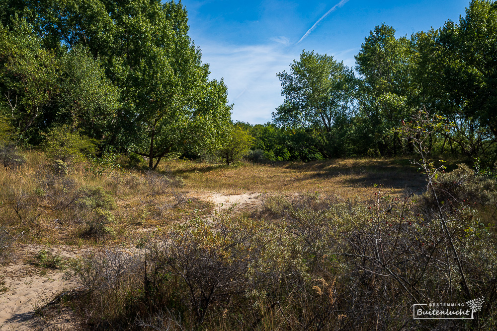 Duinlandschap in Kijfhoek en Bierlap