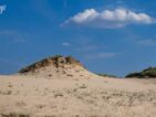 wandelen in Kijfhoek en Bierlap