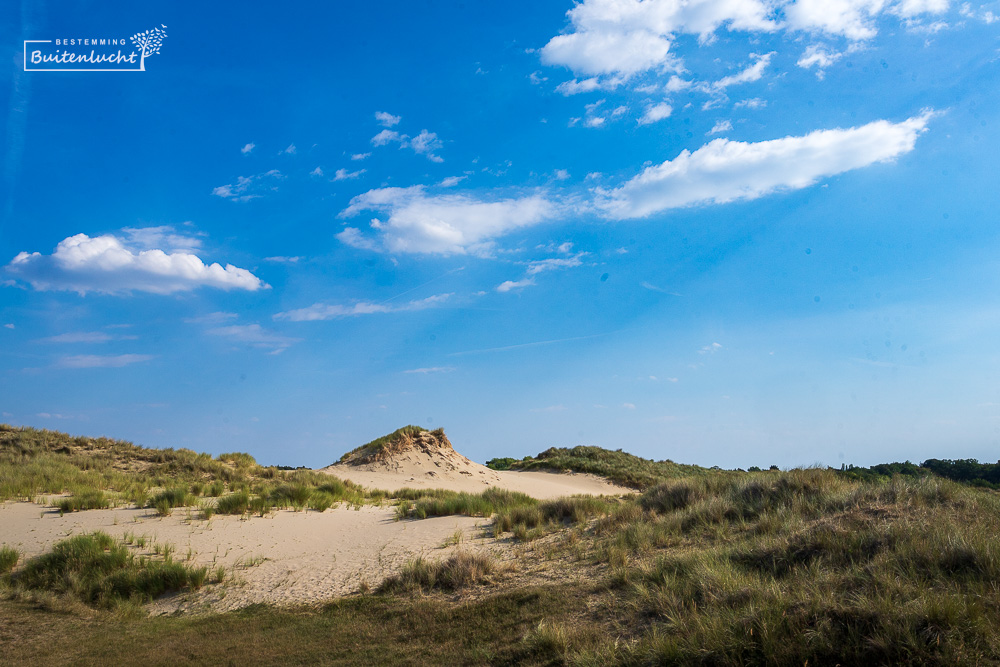 Duin in Kijfhoek en Bierlap