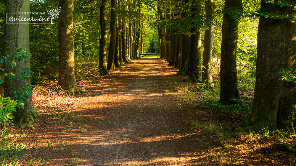 Wandelen in Nijendal in Olst