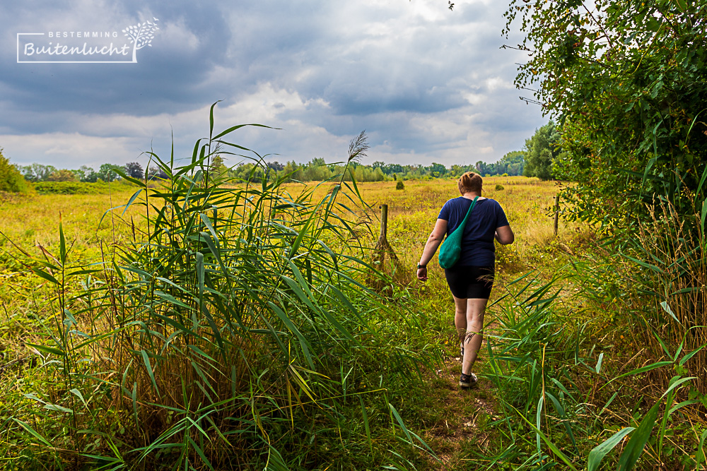 Wandelen door de Oude Weerd bij Oud-Rekem