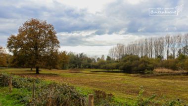 wandelen in ell landgoed lemmenhof