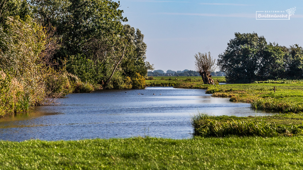 De polder bij Alphen aan den Rijn