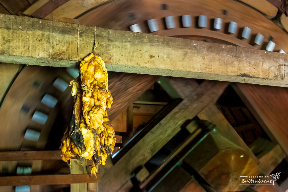 Kap van de Putmolen met reusel