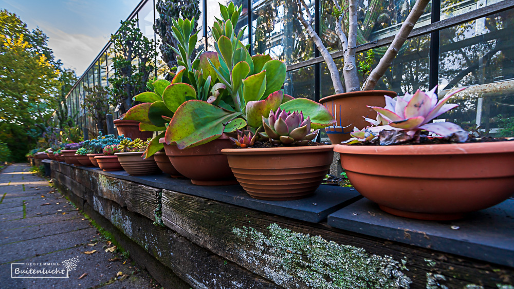 Botanische Tuin Zuidas