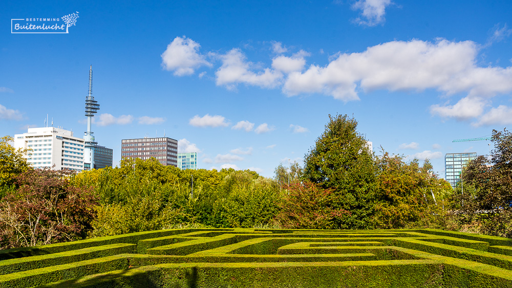 Labyrinth Amstelpark, op achtergrond de hoogbouw van de Zuidas