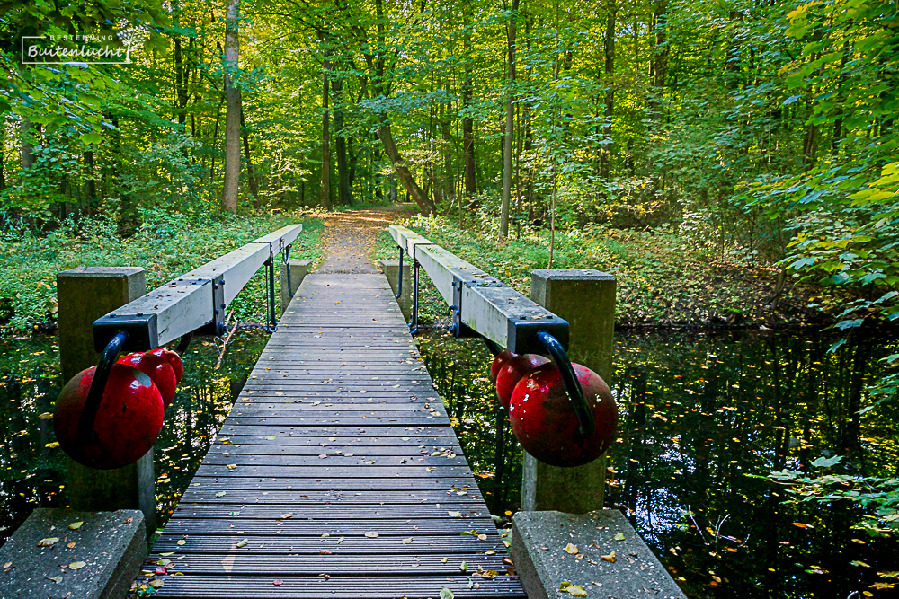 Amsterdamse Bos