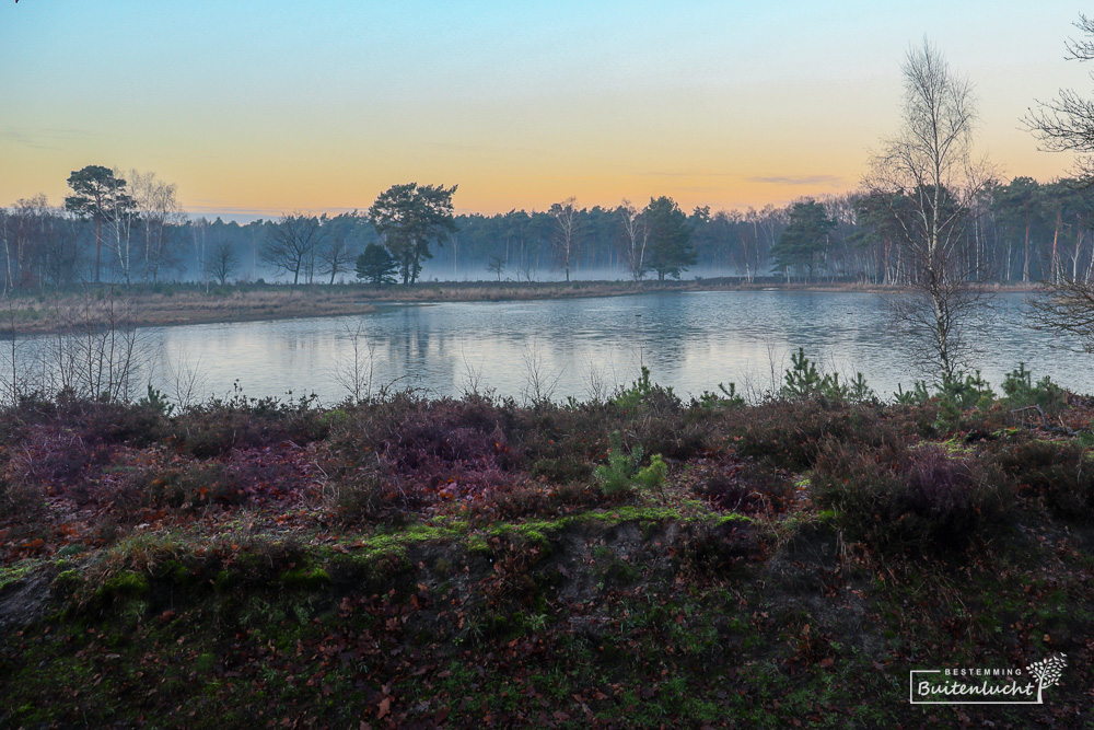 Wandelroute langs een ven in de winter