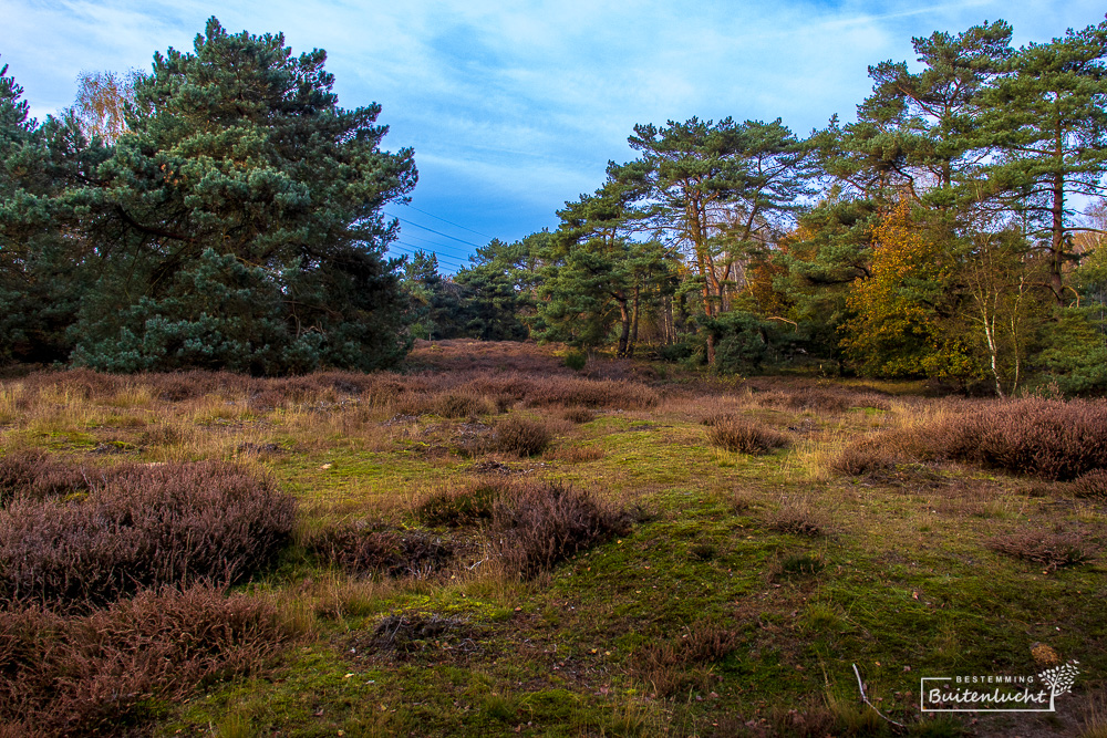 Wandelroute over de heide 