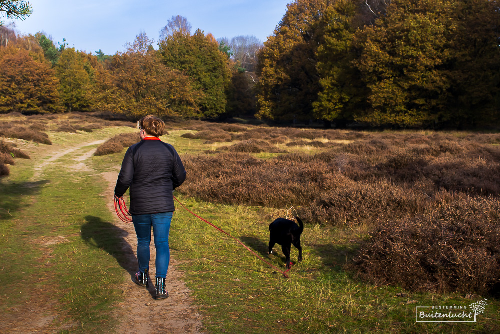 Wandelen met de hond bij Beegden