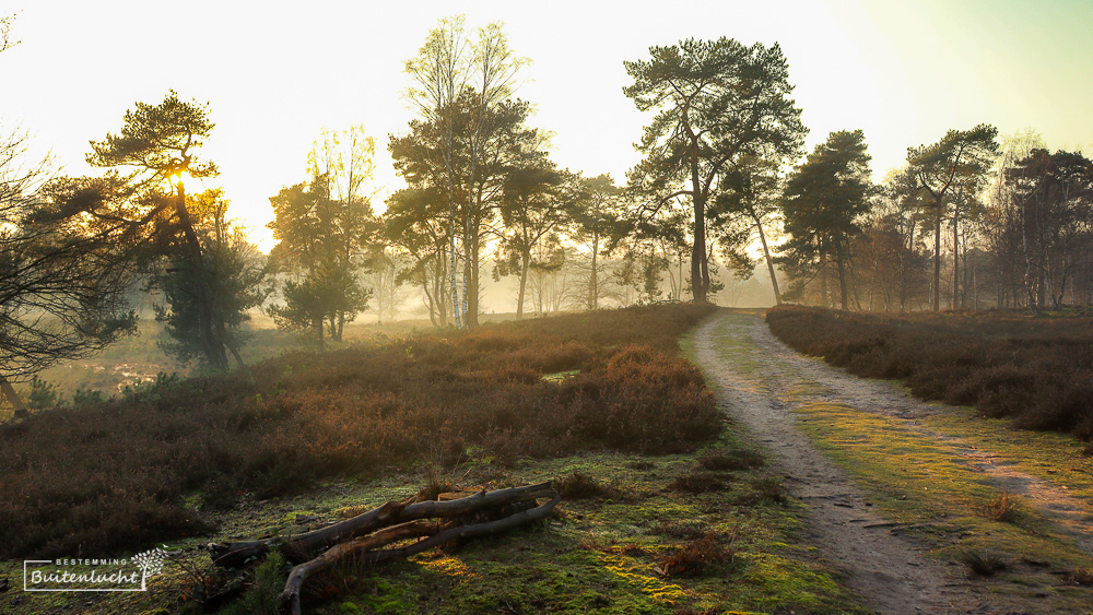 Beegderheide op een winterse dag