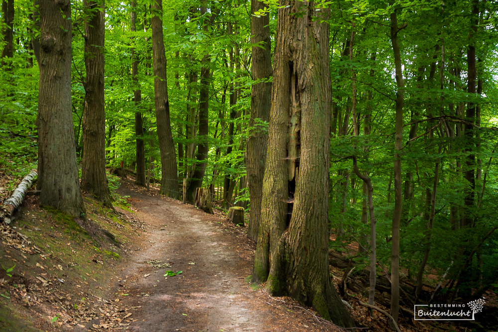 Wandelpad op Duivelsberg