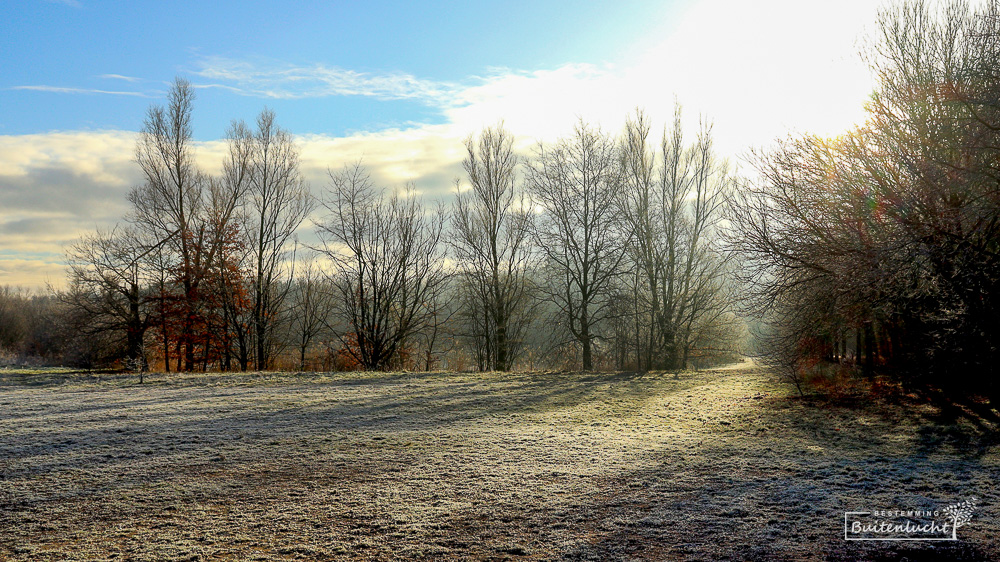 Winterse dag in Bomenpark in Heesch