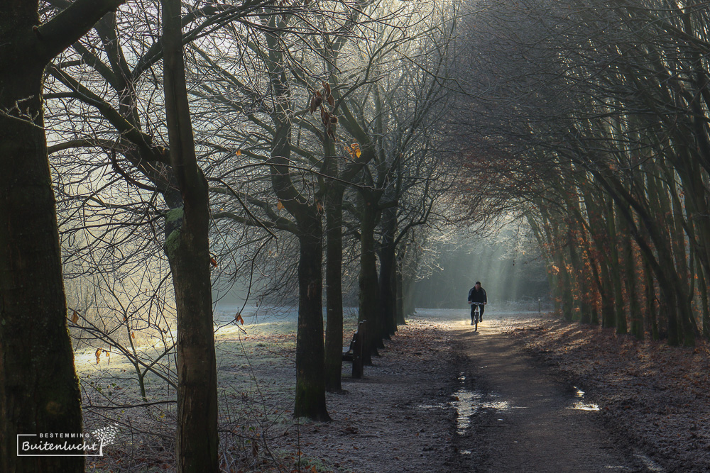 Fietser in het Bomenpark in Heesch