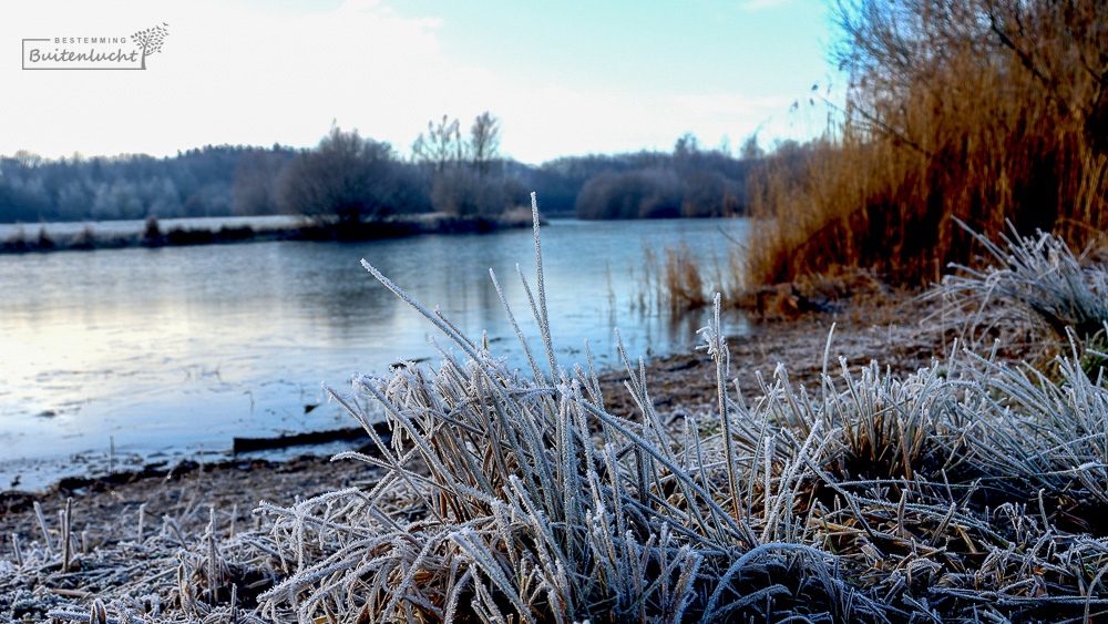 Bomenpark Heesch