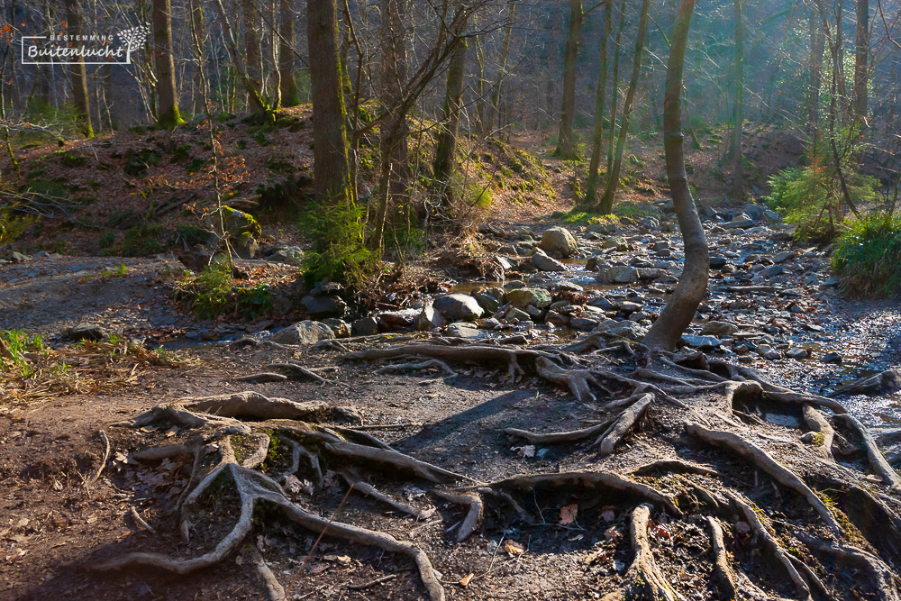 Feeeriek landschap rond NInglinspo