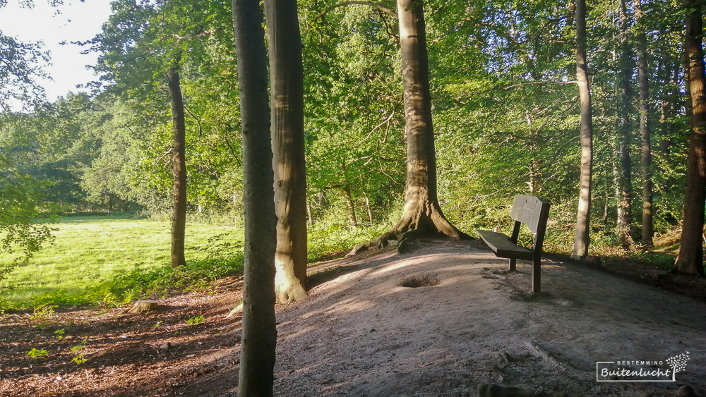 In een bos bij Roden een bankje om uit te rusten van het wandelen