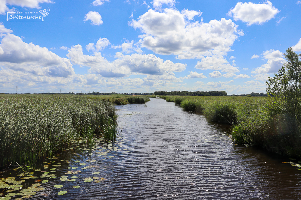 Wandelen door de Onlanden bij Groningen