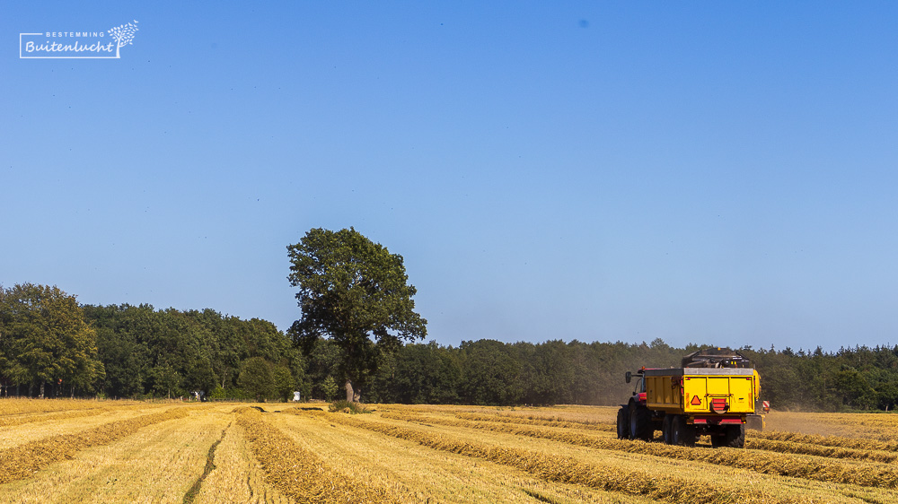 Agrarische bedrijvigheid tegenkomen bij wandelen bij Roden 