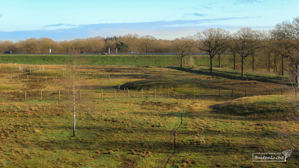 Het urnenveld bij Paalgraven