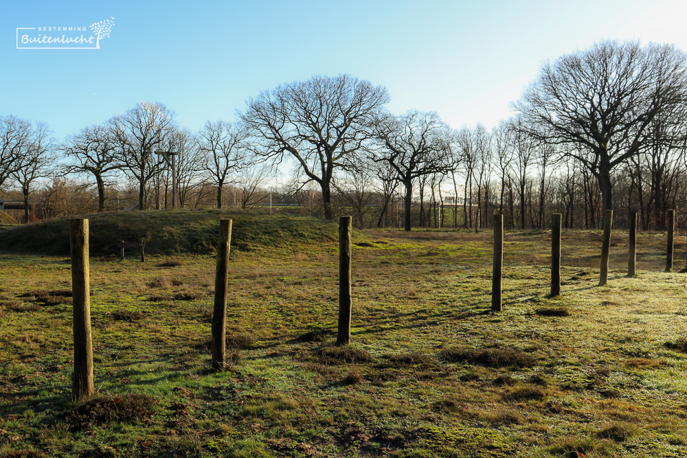 Scheidingslijn bi Paalgraven