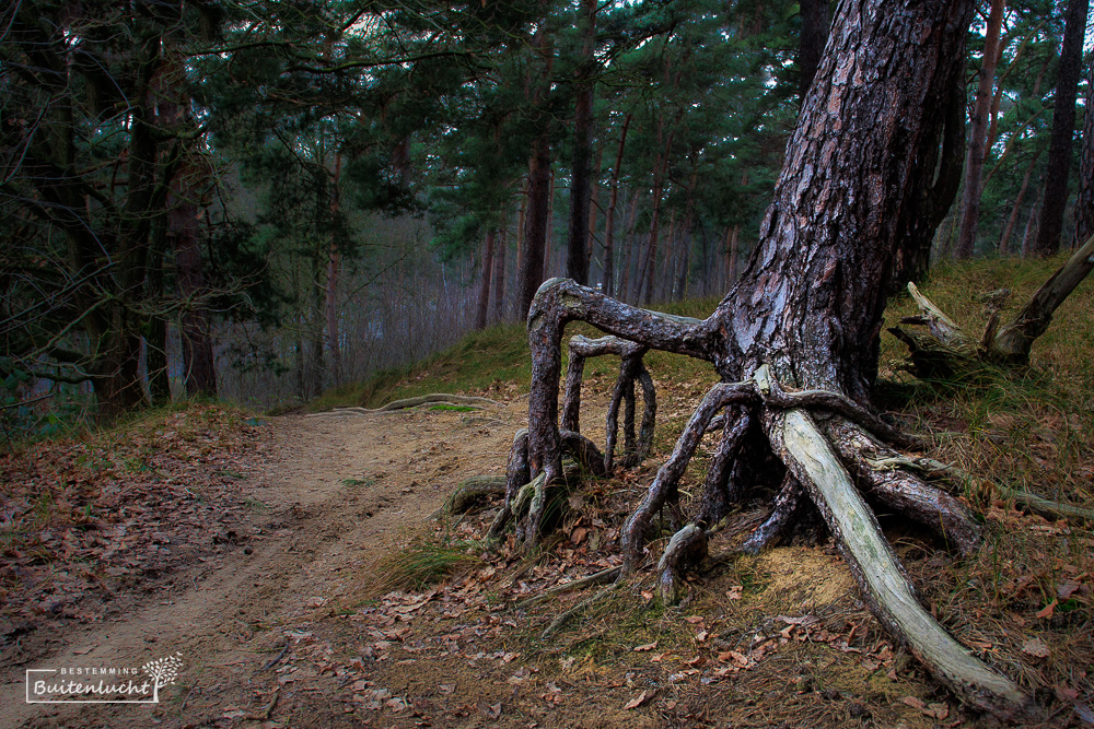 Beegderheide wandelroute