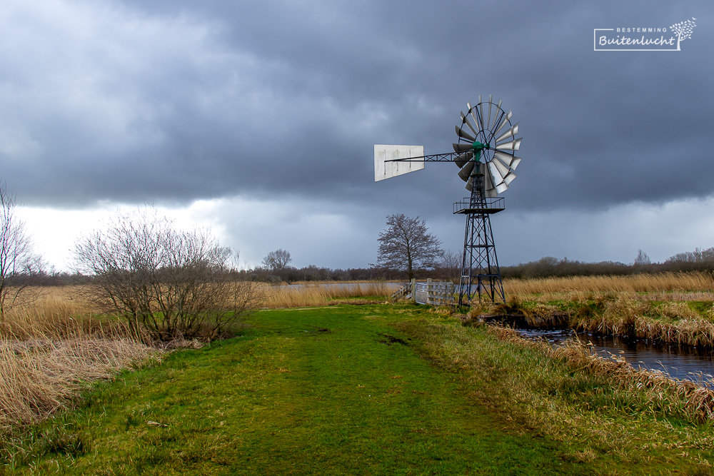 Poldermolentje in de Alde Feanen