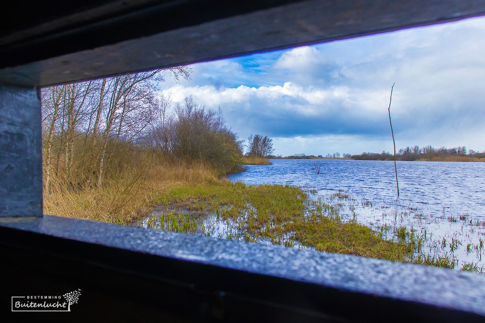 Vogelkijkhuisje langs de wandelroute in de Alde Feanen 