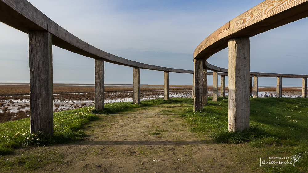 Lijnenspel in de Terp van de Toekomst