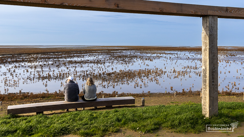 Uitzicht over het wad vanuit de Terp van de Toekomst