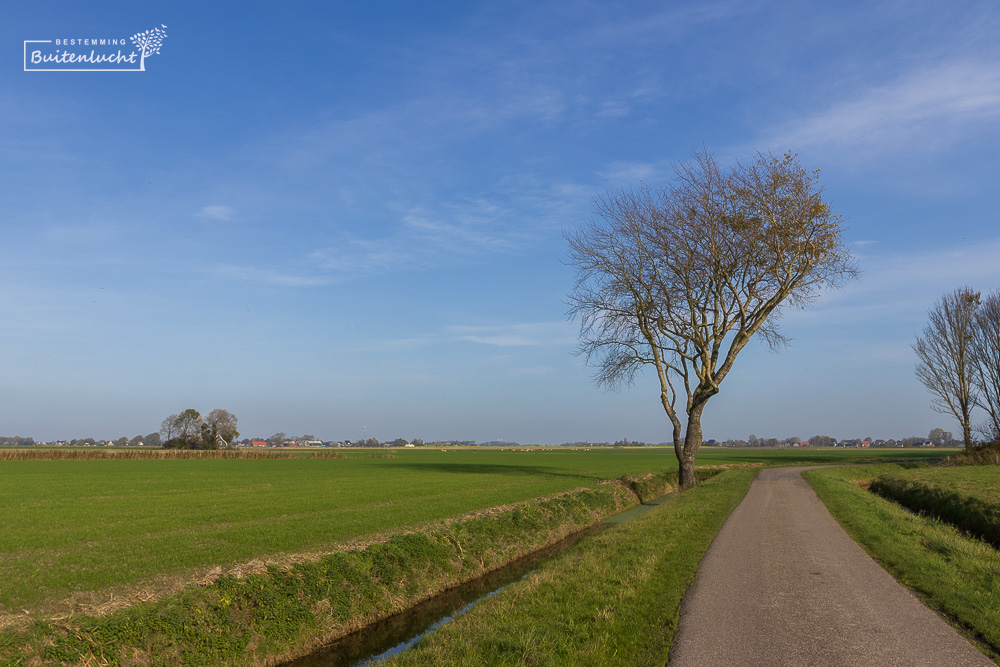 Polderwandeling tussen Hegebeintum en Blije