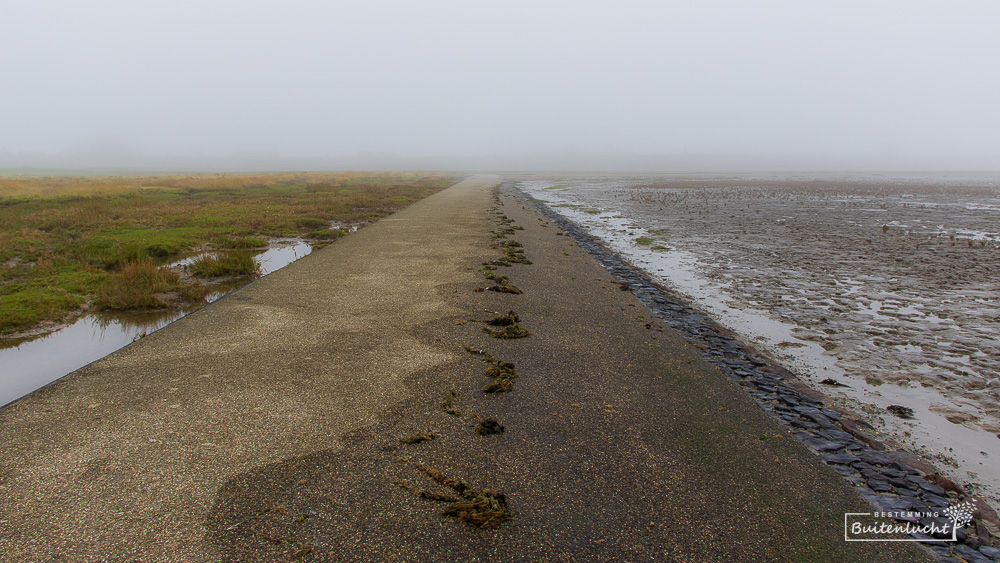 De pier bij Paesens-Middergat bij laag water: links kwelder, rechts strand