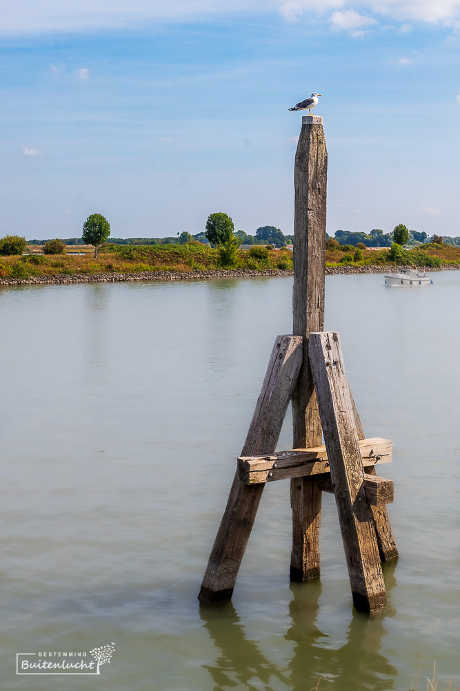 Aanlegsteiger in Woudrichem