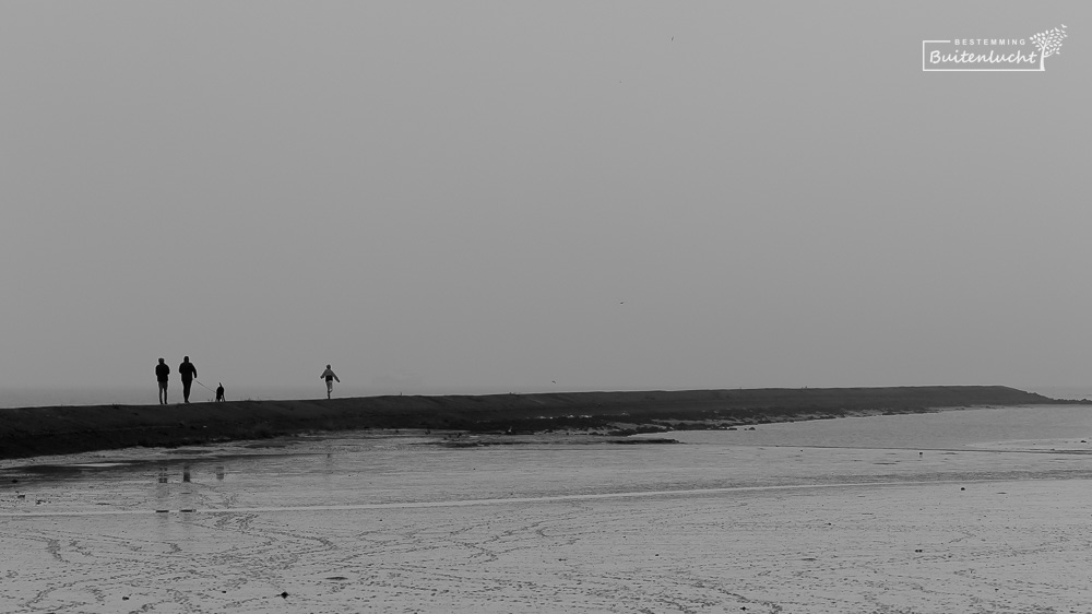 Wandelen op de pier bij Paesens-Moddergat