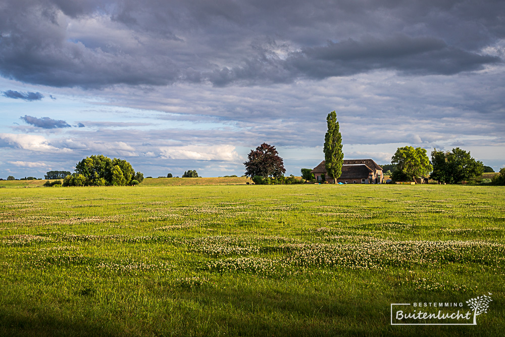 Weiland aan de rand van het natuurgebied