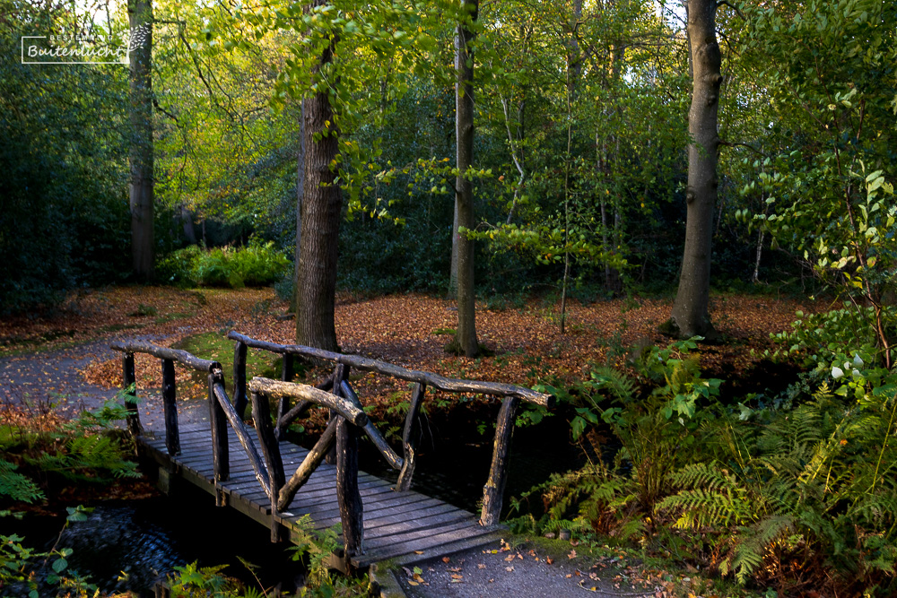 sierlijke bruggen in Stania State