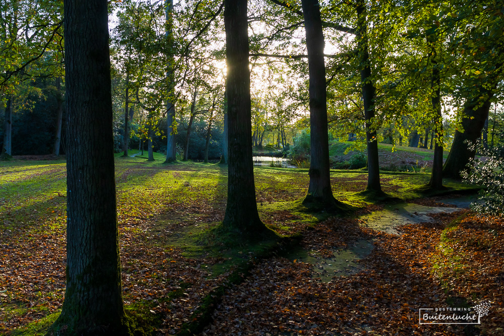 de tuin van Stania State in Oenkerk