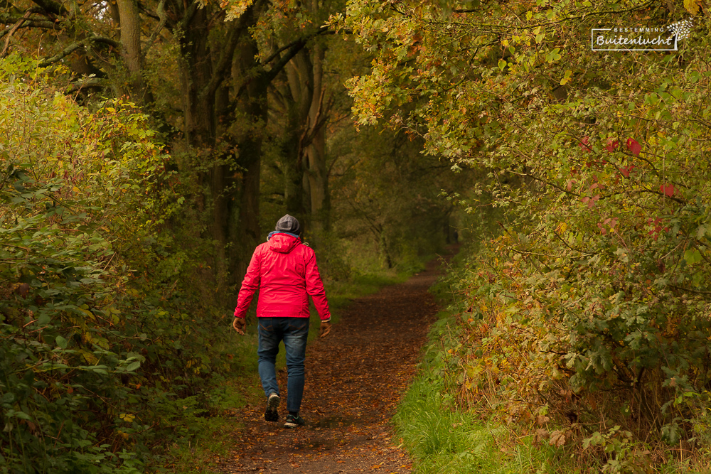 Herfst bij de Moerputten op de spoordijk